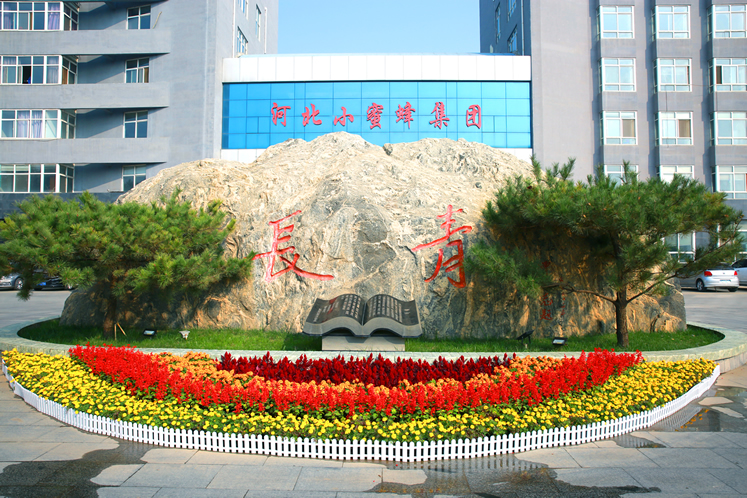 aaa16482769e27bcd8b8dd4282b0b0a.jpg